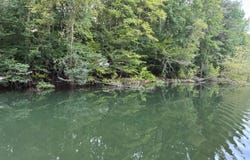DOE HOLLOW ROAD, Double Springs, AL 35553