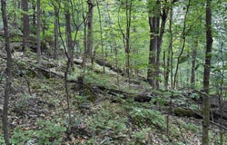 0 Elwell Heights, Wilmington, VT 05363