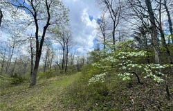 14240 Truelove Road, West Fork, AR 72774