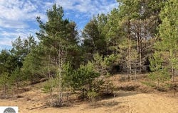 Parcel F-3 N 2 1/2 Road, Buckley, MI 49620