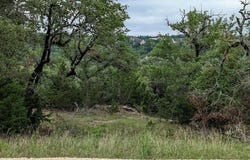 138 OYSTER SPGS, Canyon Lake, TX 78133