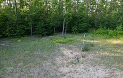 1308 S Magee Road, Vanderbilt, MI 49795