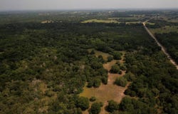 FM 141, Dime Box, TX 77853