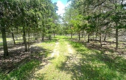 3351 Interstate 10 Frontage Road, Flatonia, TX 78941