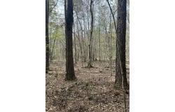 0 Palm Street, Reevesville, SC 29471
