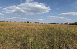 Clark Station Rd, Louisville, KY 40023