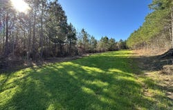 0 Co Rd 96, Millport, AL 35576
