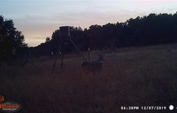 1343 County Rd188, Cross Plains, TX 76443
