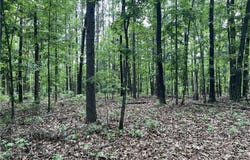 9.58 Acres on Meadow Creek DR, Harrison, AR 72601