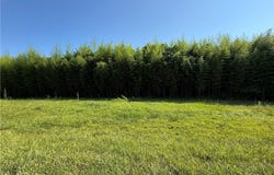 00 US Highway 311, Sophia, NC 27350