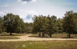 5848 FM 180 Road, Ledbetter, TX 78946