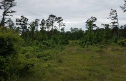 2244 Highway 355 South, Saratoga, AR 71859