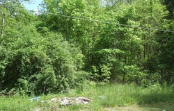 0 Little Elk Hode Road, (D 38 P 137 & D 48 P 341), Warfield, KY 41267