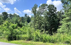 3 Winter Hawk Drive unit: 1, Arden, NC 28704
