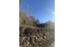 9999 Crawfish Road, Manchester, KY 40962