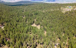 445 Buffalo Trail, Somers, MT 59932