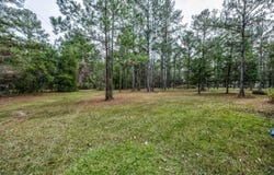 248 Bunny Lane, Freeport, FL 32439