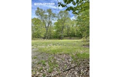 V/L S 136th Avenue, Rothbury, MI 49452