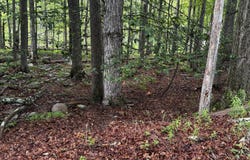 101 Elm Lane, Greentown, PA 18426