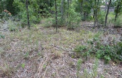 Tbd SW 141ST TERRACE, OCALA, FL 34481