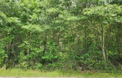 Barton Bridge Road, Monroe, GA 30655