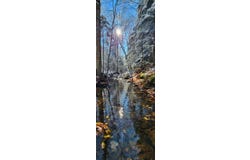 Wilfred King Road, Dannemora, NY 12918