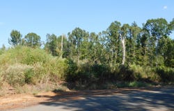 Jackie Byrd Road, Plain Dealing, LA 71064