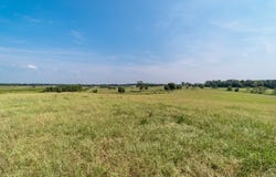 Grady Lewis Rd. lot: #1, Poplarville, MS 39470