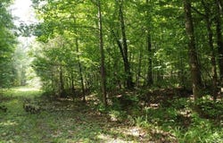 Markerville Road, Story, AR 71970-9999