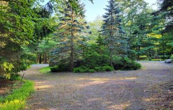 78 Chestnut Road, Lake Harmony, PA 18624