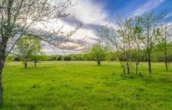 4804 County Road 4506, Commerce, TX 75428