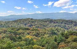Oceola Dr - Lot #7, Ellijay, GA 30540