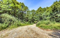 0 Layfield Run Rd, Cairo, WV 26337