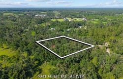 3195 Henry Gibson Rd., Perry, FL 32348