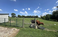 610 Heinsville Rd, Shelbyville, KY 40065