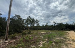 NE 135TH ST, SALT SPRINGS, FL 32134