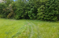 425 S 1200 W, Parker City, IN 47368