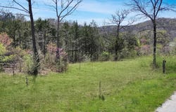 Tbd 789 Everest (Lot 5) Road, Galena, MO 65656