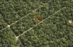 DELAWARE Terrace, Interlachen, FL 32148