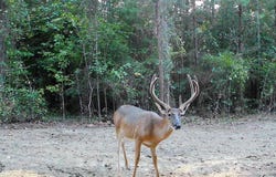 0001 Chapel Hill Road, Utica, MS 39175