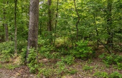 2528 Alpine Trails Drive, Innsbrook, MO 63390