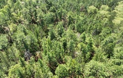 1 Ollie McCullough Road, Sprott, AL 36756