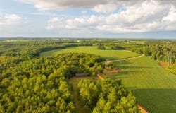Nobles Road, Pitts, GA 31072