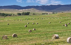 77 Sand Creek Ranch Road, Buffalo, WY 82834