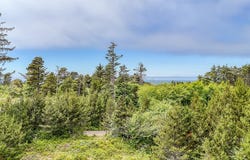 Tl302 NW Riggen Avenue, Seal Rock, OR 97376