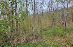 5123 Wixon Road, Campbell, NY 14870