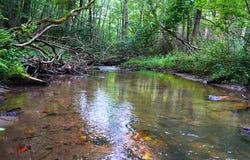 Tbd Bent Rd, Meadows of Dan, VA 24120