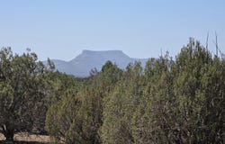Elk Lane, Seligman, AZ 86337