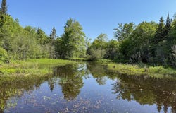 TBD Off Hwy M-64, Ontonagon, MI 49953