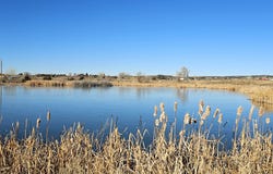 777 County Rd 977, Ignacio, CO 81137